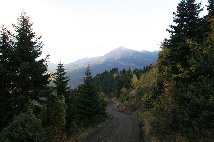 Καταφύγιο/Γραμμένη Οξυά 
