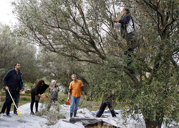 ΔΗΜΟΣ ΓΛΥΦΑΔΑΣ