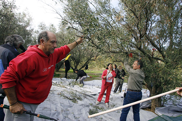 ΔΗΜΟΣ ΓΛΥΦΑΔΑΣ