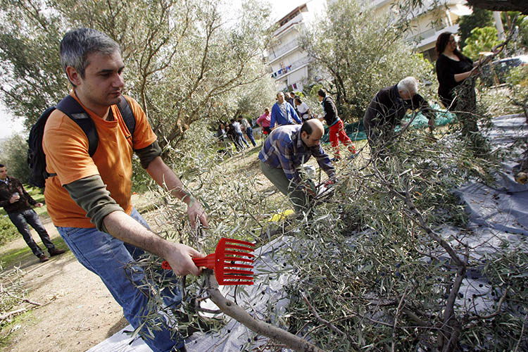 ΔΗΜΟΣ ΓΛΥΦΑΔΑΣ