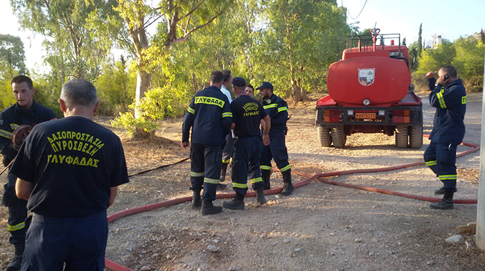 ΕΘΕΛΟΝΤΕΣ ΓΛΥΦΑΔΑΣ