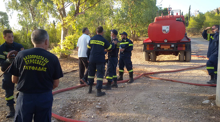 ΕΘΕΛΟΝΤΕΣ ΓΛΥΦΑΔΑΣ
