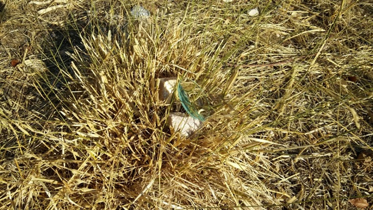 ΔΗΜΟΣ ΕΛΛΗΝΙΚΟΥ ΑΡΓΥΡΟΥΠΟΛΗΣ