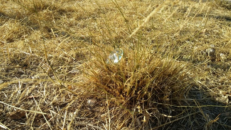 ΔΗΜΟΣ ΕΛΛΗΝΙΚΟΥ ΑΡΓΥΡΟΥΠΟΛΗΣ