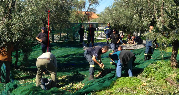 Δήμος Γλυφάδας