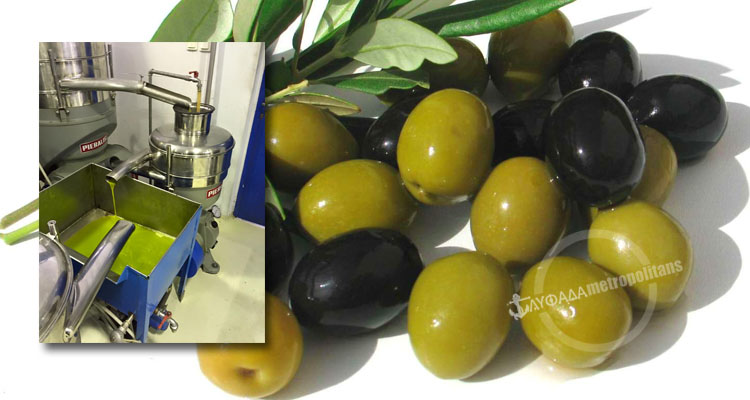 OLIVES-GLYFADA