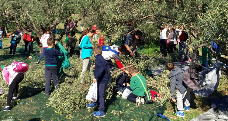 Δήμος Γλυφάδας