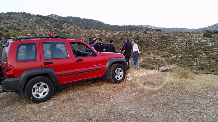 ΕΘΕΛΟΝΤΕΣ ΓΛΥΦΑΔΑΣ