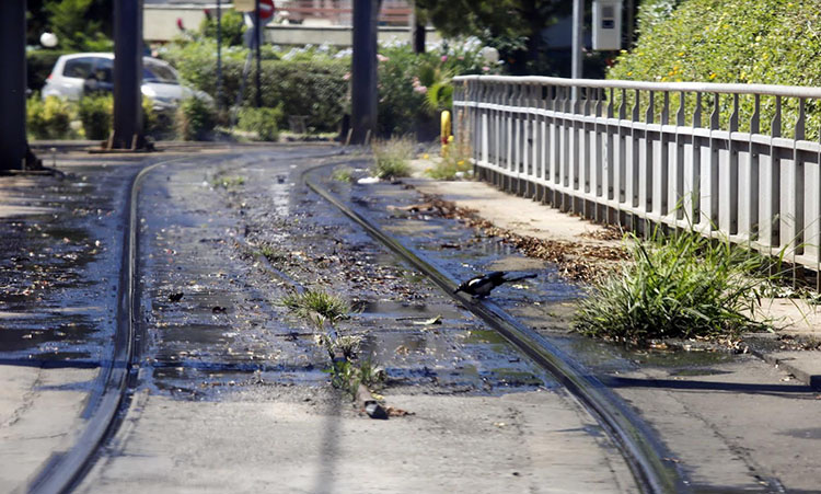 Δήμος Γλυφάδας