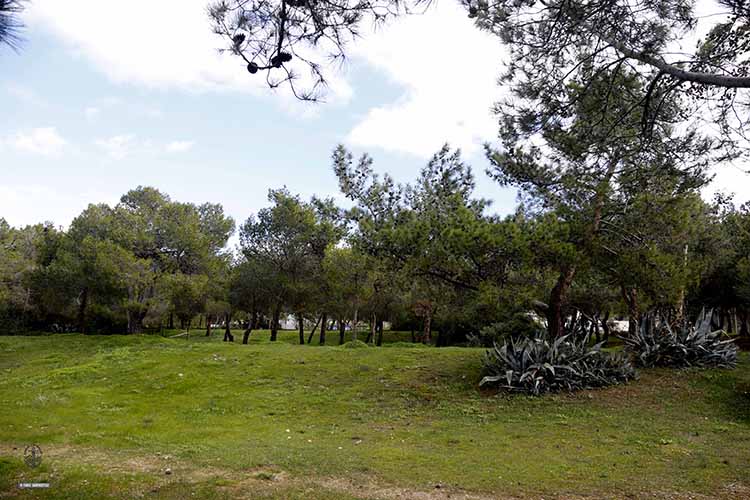 ΔΉΜΟΣ ΓΛΥΦΑΔΑΣ