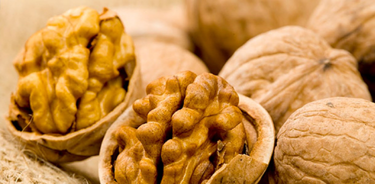 ΑΓΧΟΣ ΚΑΙ ΔΙΑΤΡΟΦΗ