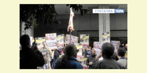 Μικρο-ομολογιούχοι