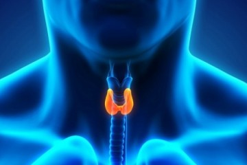 Θυρεοειδής