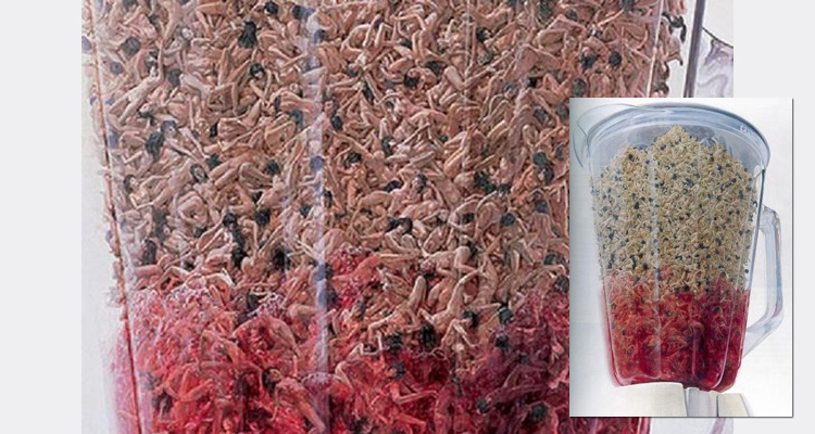 Άνθρωποι σε μπλέντερ