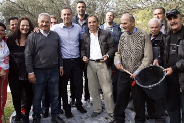 συγκομιδή ελιών