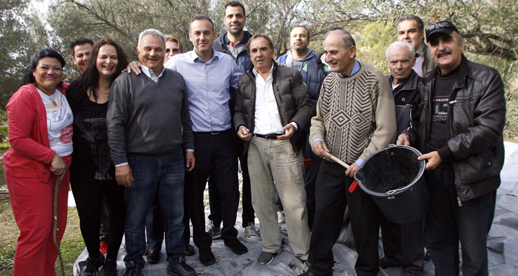 συγκομιδή ελιών