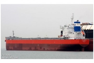 διασωθέντες