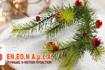 ΕΝ.ΕΟ.Ν Α.μ.ε.Α Γλυφάδας