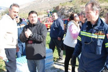 ΔΕΝΔΡΟΦΥΤΕΥΣΗ