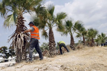 ΔΗΜΟΣ ΓΛΥΦΑΔΑΣ