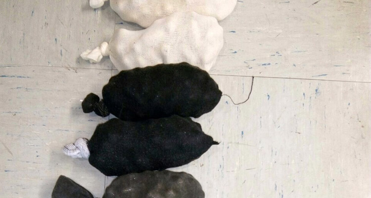 ναρκωτικά - σύλληψη