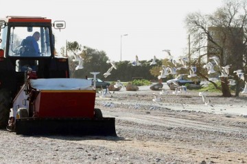 Δήμος Γλυφάδας