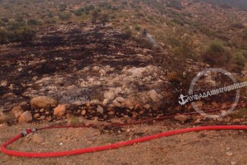 ΕΘΕΛΟΝΤΕΣ ΓΛΥΦΑΔΑΣ