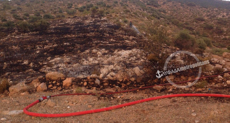 ΕΘΕΛΟΝΤΕΣ ΓΛΥΦΑΔΑΣ