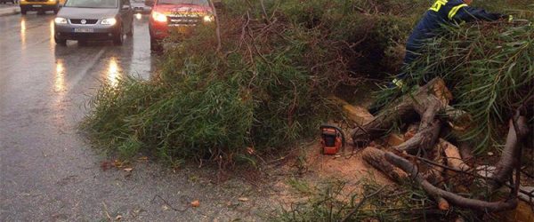 ΕΘΕΛΟΝΤΕΣ ΓΛΥΦΑΔΑΣ