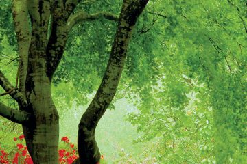 ΔΗΜΟΣ ΓΛΥΦΑΔΑΣ