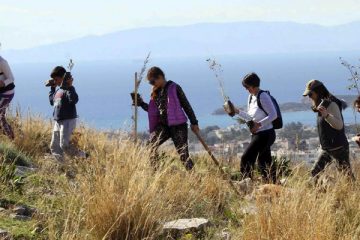 ΔΗΜΟΣ ΓΛΥΦΑΔΑΣ