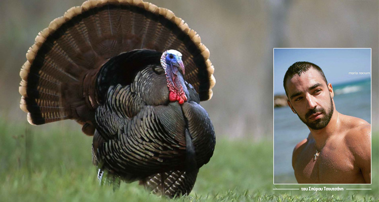 Σπύρος Τσουτσάνης