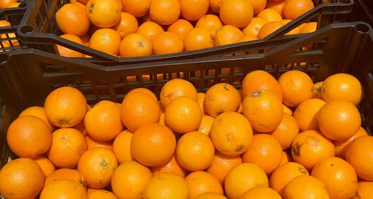 Δήμος Γλυφάδας