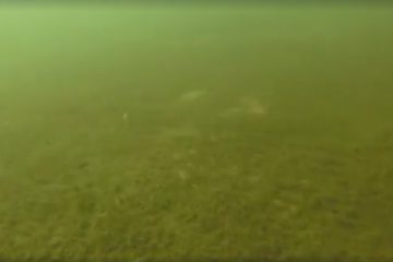 Δήμος Γλυφάδας