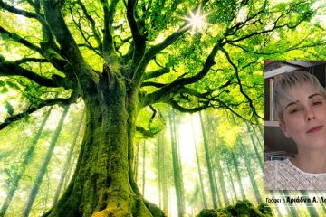 Αριάδνη Α. Λοράνδου