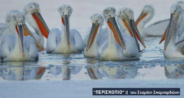 προστασία φυσικού περιβάλλοντος