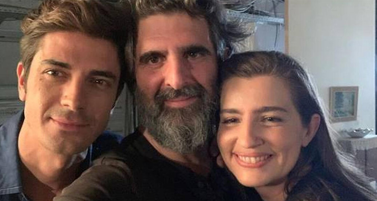 Άγριες Μέλισσες