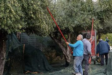 Λιομάζωμα στη Γλυφάδα