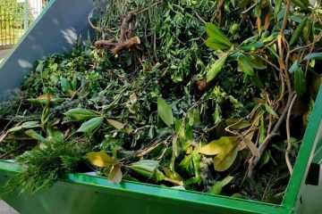 πράσινος κάδος