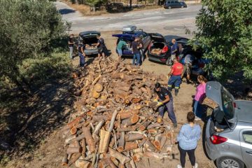 διανομή ξυλείας