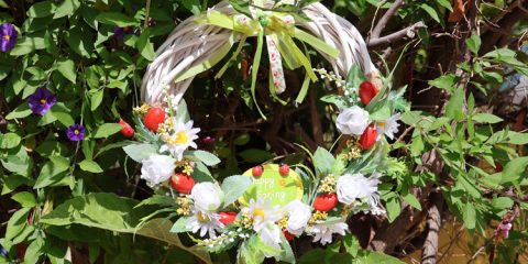 ΛΟΥΛΟΥΔΙΑ & ΧΡΩΜΑΤΑ