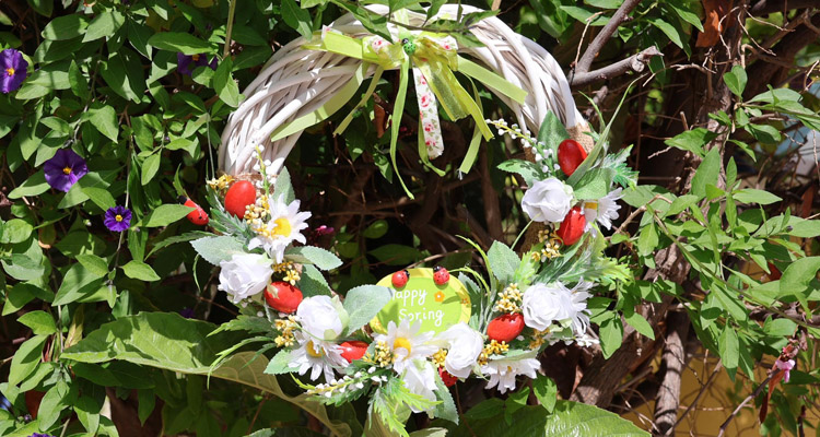 ΛΟΥΛΟΥΔΙΑ & ΧΡΩΜΑΤΑ