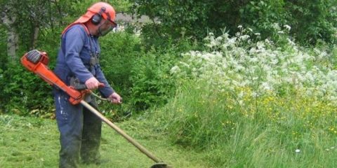 Καθαρισμοί οικοπέδων